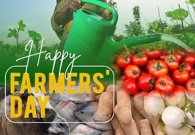 Saluting the Hands That Feed the Nation: Celebrating the Ghanaian Farmer